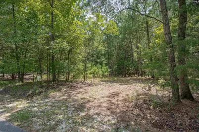 231 Tortoise Trail, Batesburg, SC 29006 - Photo 7