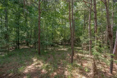 231 Tortoise Trail, Batesburg, SC 29006 - Photo 9