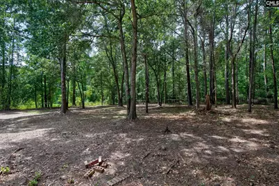 50 Nature Lane, Elgin, SC 29045 - Photo 47