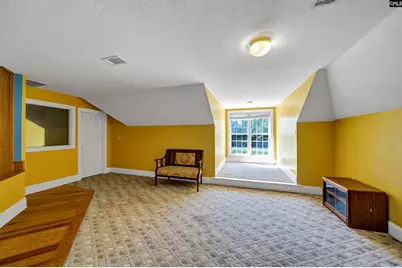 1584 Hutto Island Road, Leesville, SC 29070 - Photo 59