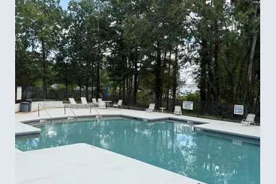 136 Hawks Ridge Lane, Chapin, SC 29036 - Photo 61