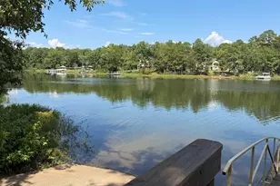136 Hawks Ridge Ln, Chapin, SC 29036 - Photo 5