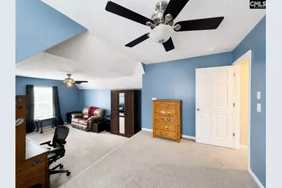 227 Letha Lane, Lexington, SC 29072 - Photo 45