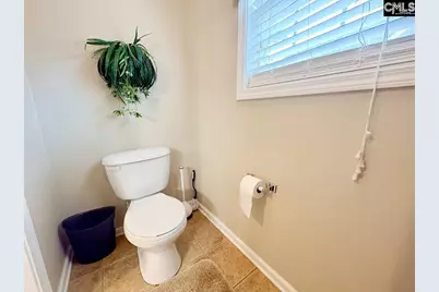 227 Letha Lane, Lexington, SC 29072 - Photo 29