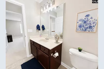 227 Letha Lane, Lexington, SC 29072 - Photo 39