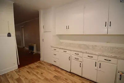 313 Durant Street, Bishopville, SC 29010 - Photo 7