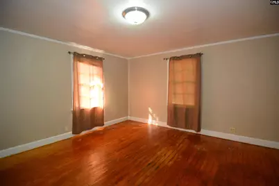 313 Durant Street, Bishopville, SC 29010 - Photo 11