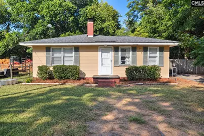 313 Durant Street, Bishopville, SC 29010 - Photo 1