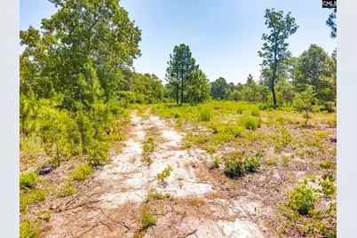 443 Hound Hollow Road, Camden, SC 29020 - Photo 7
