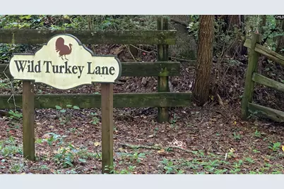 188 Wild Turkey Lane, Camden, SC 29020 - Photo 13