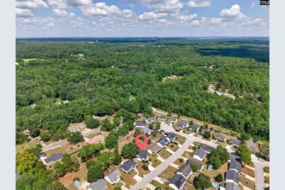 245 Hallie Hills Place, Lexington, SC 29073 - Photo 39