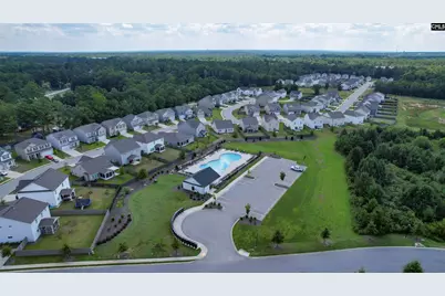 938 Beaufort Farm Road, Blythewood, SC 29016 - Photo 41