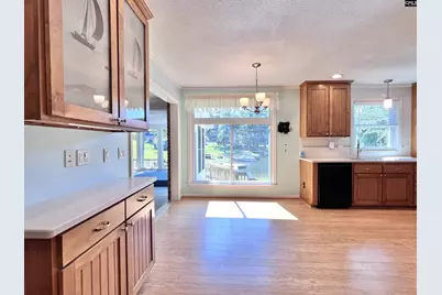 161 Woodlake Circle, Chapin, SC 29036 - Photo 29