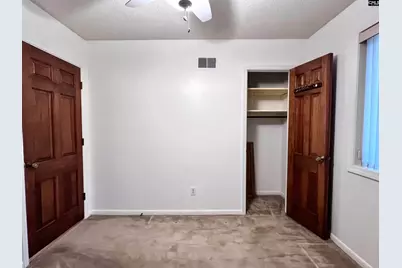161 Woodlake Circle, Chapin, SC 29036 - Photo 53
