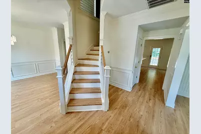 161 Longtown Place Drive, Columbia, SC 29229 - Photo 3