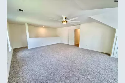 161 Longtown Place Drive, Columbia, SC 29229 - Photo 25