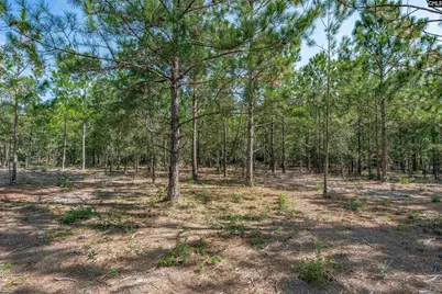 2058 Green Hill Road, Lugoff, SC 29078 - Photo 43