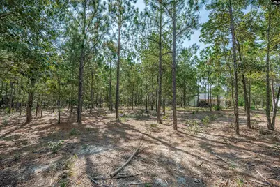 2058 Green Hill Road, Lugoff, SC 29078 - Photo 45