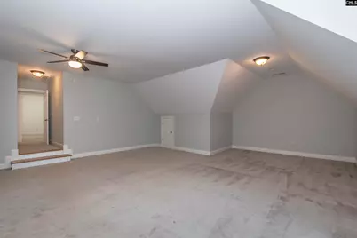 237 Bent Oak Drive, Chapin, SC 29036 - Photo 47