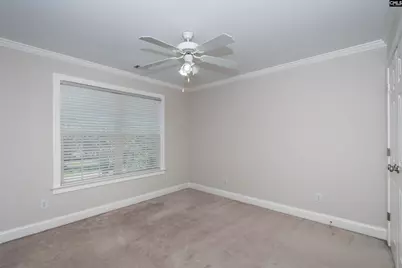 237 Bent Oak Drive, Chapin, SC 29036 - Photo 51