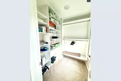 525 Malachite Lane, Chapin, SC 29036 - Photo 29