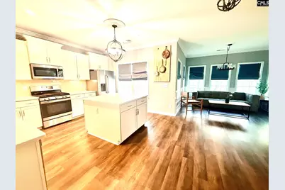 525 Malachite Lane, Chapin, SC 29036 - Photo 11