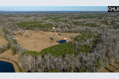 0 Cedar Grove Road, Leesville, SC 29070 - Photo 3