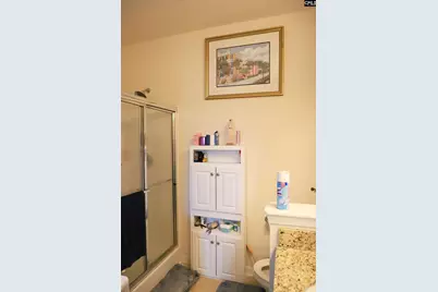 709 Spring Cress Drive, Lexington, SC 29073 - Photo 19