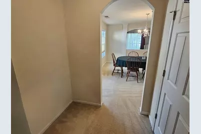 322 Spring Mist Court, Lexington, SC 29072 - Photo 13
