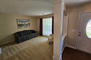 322 Spring Mist Ct, Lexington, SC 29072 - Photo 9