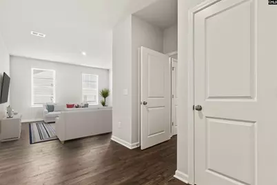 349 Granny's Cut Way, Chapin, SC 29036 - Photo 5