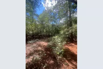 1529 Elbert Taylor Road, Pelion, SC 29123 - Photo 17