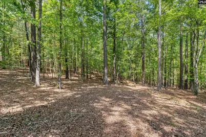 1249 Screech Owl Road, Camden, SC 29020 - Photo 7