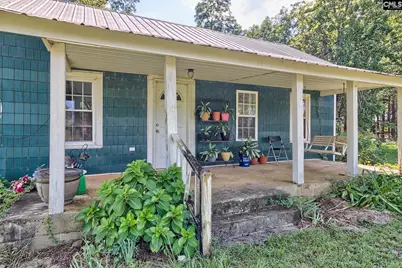 276 Bodie Road, Pelion, SC 29123 - Photo 5