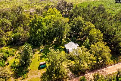 276 Bodie Road, Pelion, SC 29123 - Photo 37