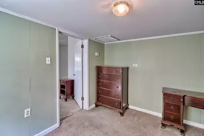 276 Bodie Road, Pelion, SC 29123 - Photo 17