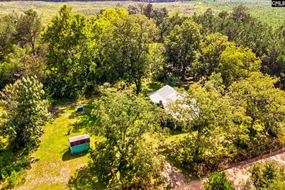 276 Bodie Road, Pelion, SC 29123 - Photo 33