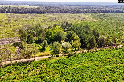 276 Bodie Road, Pelion, SC 29123 - Photo 35