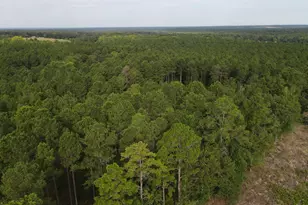 Tract 2 Bridle Path Rd, Camden, SC 29020 - Photo 1