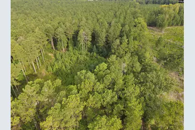 Tract 3 Bridle Path Road #Tract 3, Camden, SC 29020 - Photo 3