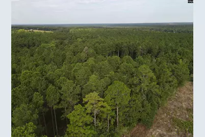 Tract 3 Bridle Path Road #Tract 3, Camden, SC 29020 - Photo 1