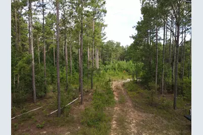 Tract 3 Bridle Path Road #Tract 3, Camden, SC 29020 - Photo 7