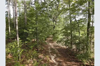 Tract 3 Bridle Path Road #Tract 3, Camden, SC 29020 - Photo 9