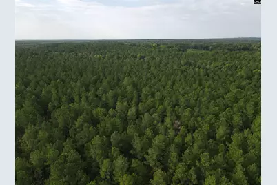 Tract 4 Bridle Path Road #Tract 4, Camden, SC 29020 - Photo 5