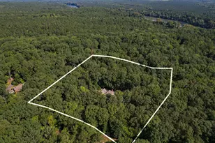 119 River Oaks Rd, Little Mountain, SC 29075 - Photo 41