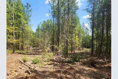 Tract 1 Hoke Road, Heath Springs, SC 29058 - Photo 9