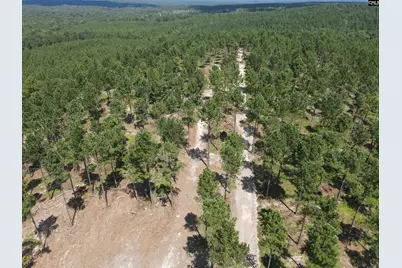 Tract 1 Hoke Road, Heath Springs, SC 29058 - Photo 31