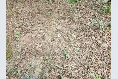 Tract 1 Hoke Road, Heath Springs, SC 29058 - Photo 11