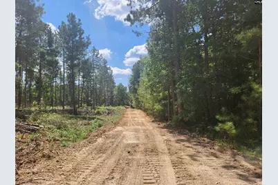 Tract 1 Hoke Road, Heath Springs, SC 29058 - Photo 1