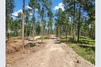 Tract 1 Hoke Road, Heath Springs, SC 29058 - Photo 7